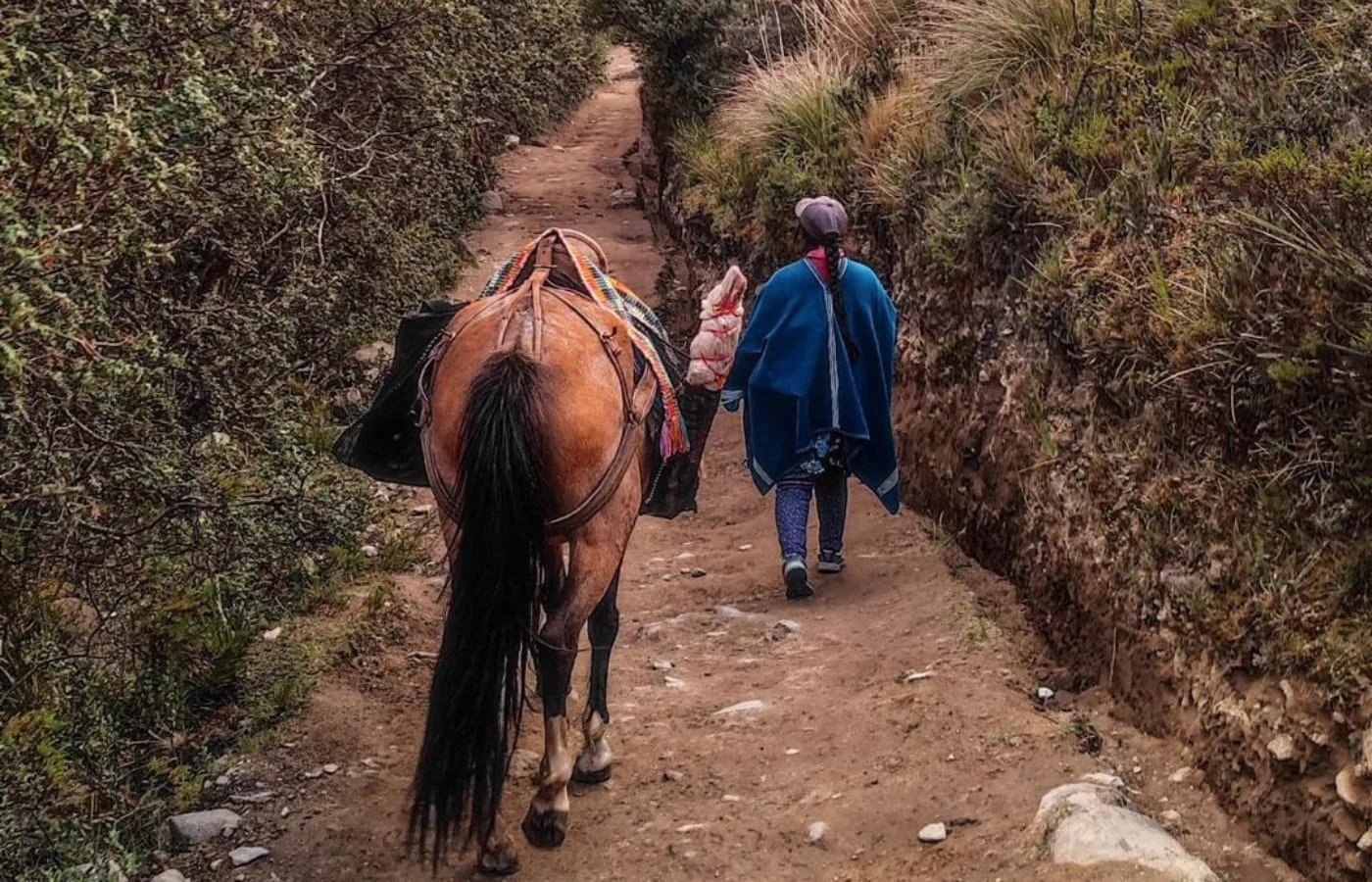 Orientación para visitar Las Huaringas