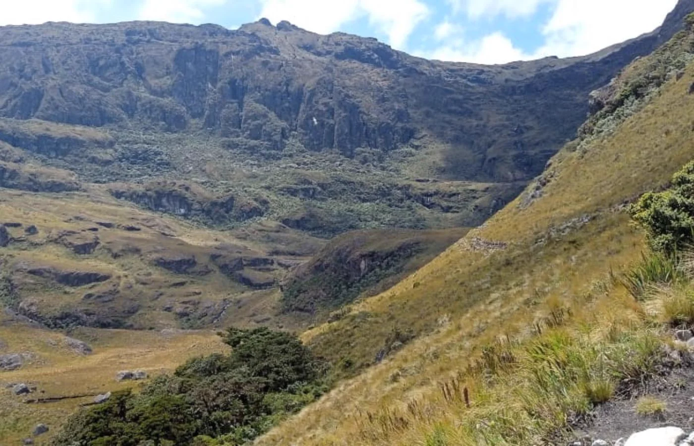 Páramo altoandino de Las Huaringas, Huancabamba